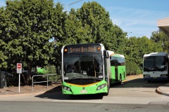 Bus-535-Woden-Bus-Station-with-3684MO-