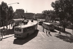 Bus-537-City-Interchange