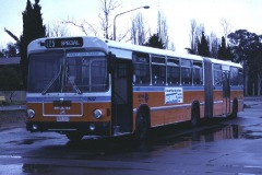Bus-537-Wentworth-Avenue