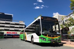 BUS 537 - CITY WEST