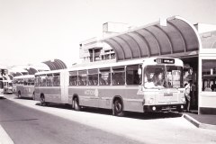 BUS 538 - BELCONNEN INTERCHANGE