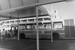 BUS 538 - BELCONNEN INTERCHANGE