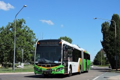Bus-538-Wentworth-Avenue