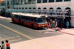 Bus-539-City-Interchange