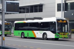 Bus543-CityBs-2