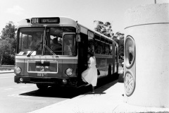 Bus-544