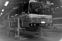 Bus-546-Workshop