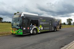 Bus547-Chapman-1