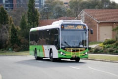 Bus549-Crisp-1