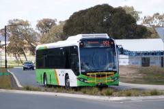 Bus-550-Whitrod-Avenue