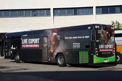 bus550-woden-1