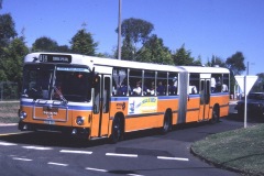 Bus-551-McMillan-Cres