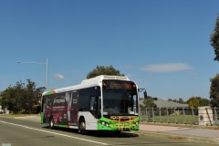 Bus-552-Nullarbor-Avenue