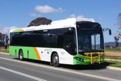 Bus554-Hibberson-1