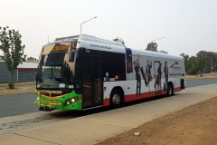 Bus555-AikmanDr-1