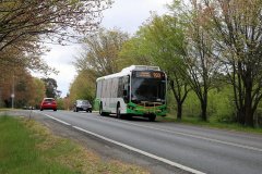Bus557-Ellenborough-1