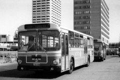 Bus-558-Woden-Interchange