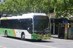 Bus-559-City-Interchange