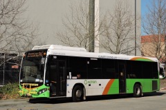 Bus559-TuggBS-2