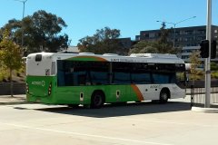 Bus560-BCBS-1
