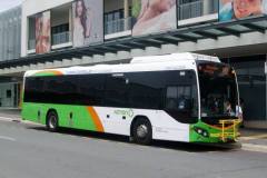 Bus560-Hibberson-1