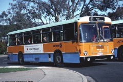 Bus-564