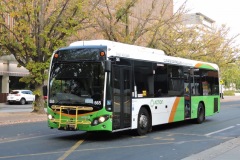 Bus-565-National-Circuit-Barton