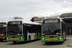Bus565-Woden-1
