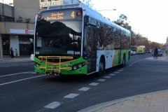 Bus566-Alinga-1