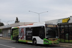Bus-567-Heard-Street