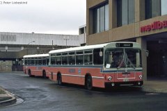 Bus 569 - Woden Interchange