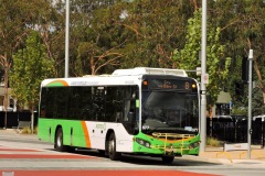 Bus-577-Dickson-Interchange