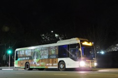 Bus-577-Dickson-Terminus