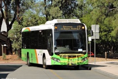 Bus-577-Kippax-Terminus