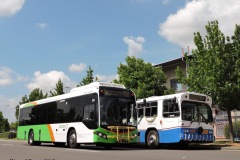 Bus578-Scollay-1