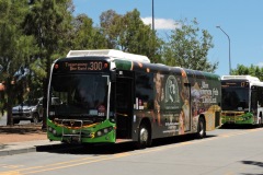 Bus-581-Kippax-Centre