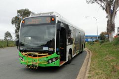 Bus584-csbs-1