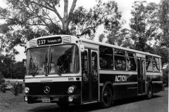 BUS 585 - GIRALANG TERMINUS