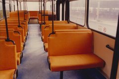 BUS 585 - INTERIOR