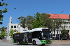 Bus-585-Reed-Street