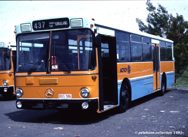 Bus-586-Giralang-Terminus