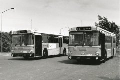 Buses-586-and-587-Giralang-Terminus