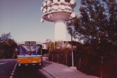 Bus-589-Black-Mountain-Drive