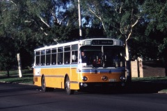 Bus-589-Northbourne-Avenue