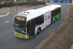 Bus589-Csbs-1