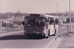 Bus-590-Kosciuszko Av