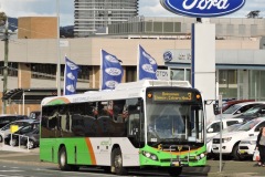 Bus-592-Cohen-St
