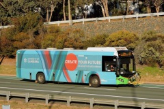 Bus-593-Adelaide-Avenue