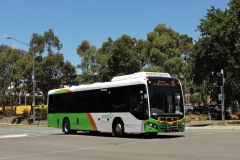 Bus-594-Aikman-Drive