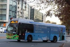 Bus595-CooyongSt-1